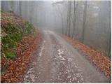 Kolnica - Planinski dom Goška ravan
